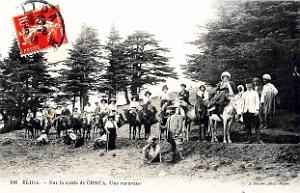 1946- Blida - Caravane sur la route de Chrea - 1913